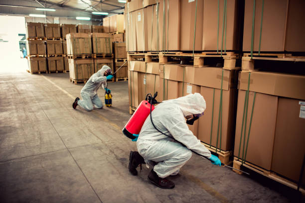 Best Best Pest Control Companies  in White Pine, TN