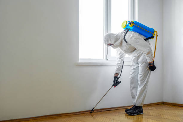 Best Best Pest Control Companies  in White Pine, TN