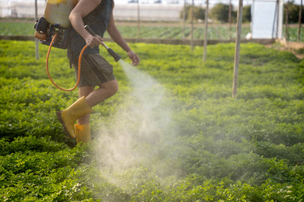 Best Pest Removal Services  in White Pine, TN