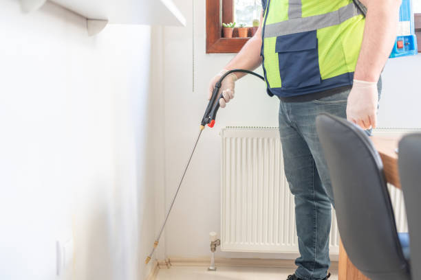 Best Flea Control Services  in White Pine, TN