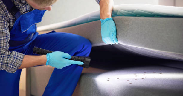 Best Cockroach Control Services  in White Pine, TN